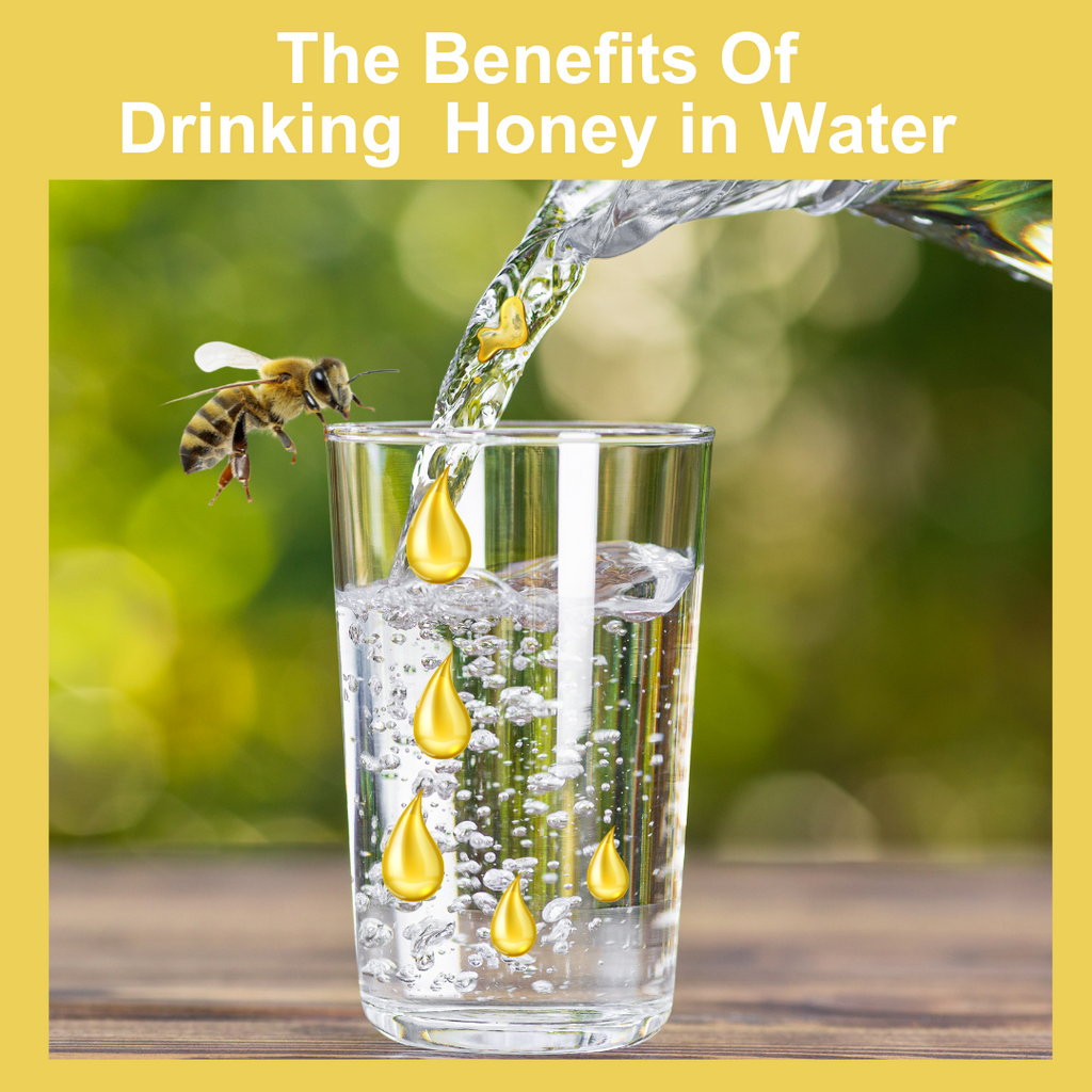 The benefits of honey in water – Natures Gold