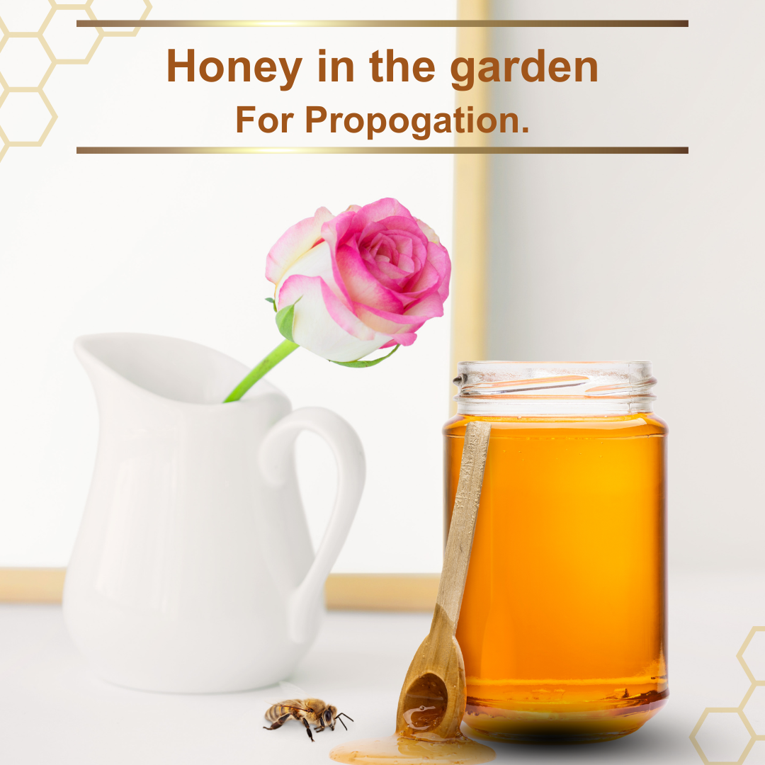The Sweet Solution: Harnessing the Power of Honey for Successful Flower Cuttings