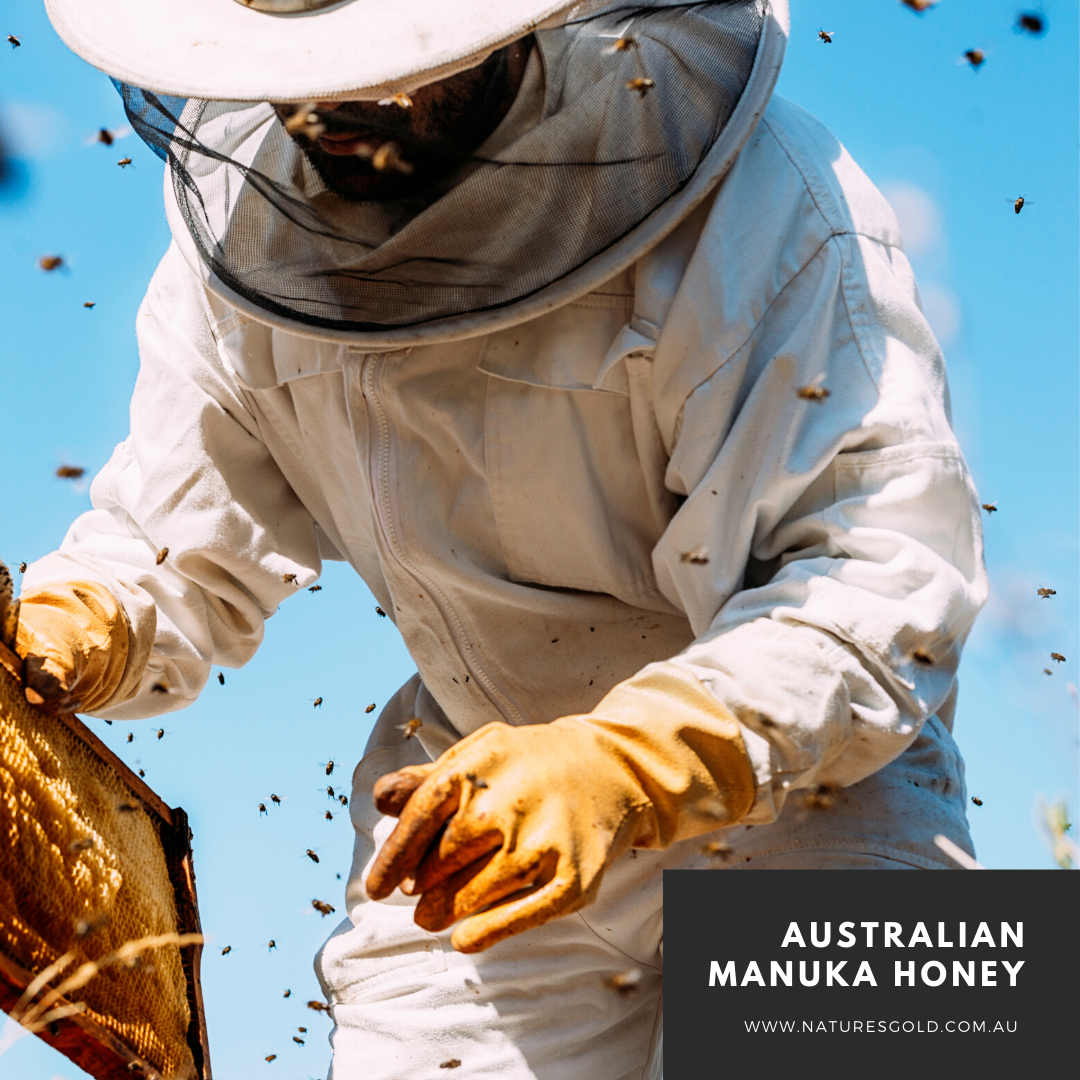 The Best Tasting Australian Manuka Honey