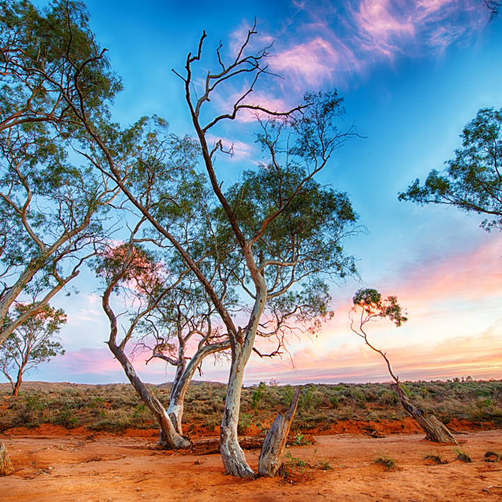 Sunset in the outback 